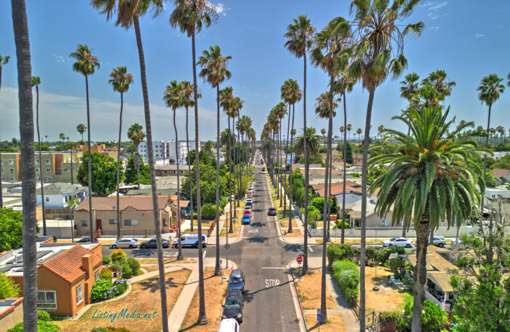 Los Angeles Virtual Tour