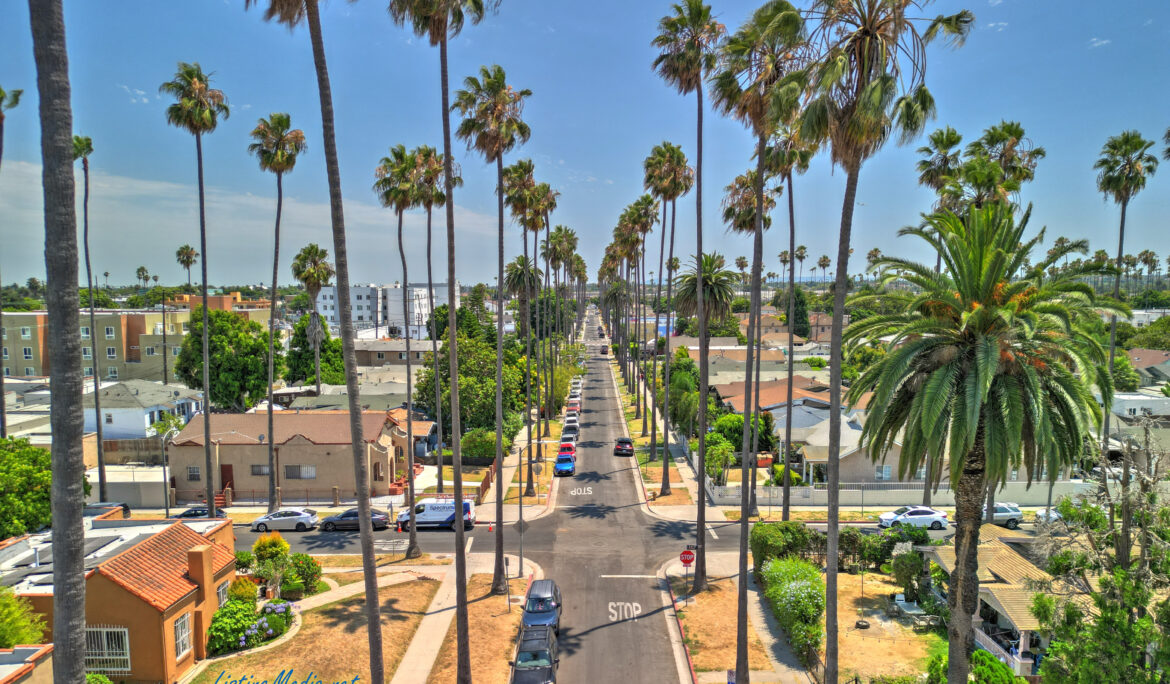 Los Angeles Virtual Tour