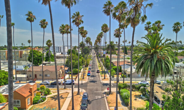 Los Angeles Virtual Tour