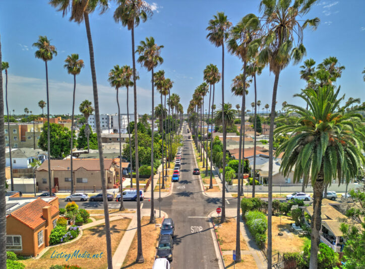 Los Angeles Virtual Tour